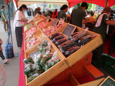 新鮮野菜販売の様子