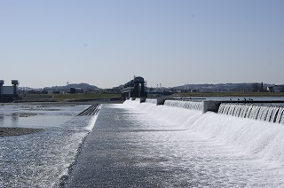 多摩川の写真