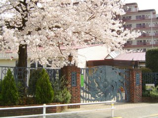 正門の写真