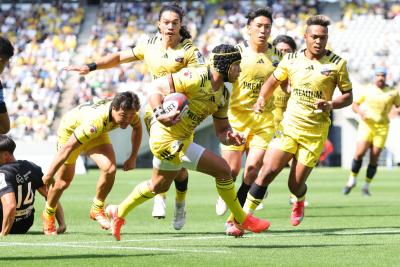 チェスリンコルビの画像