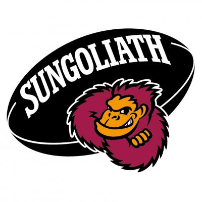 サントリーのチームロゴ