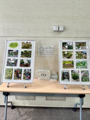 南側ロビーでの展示の様子