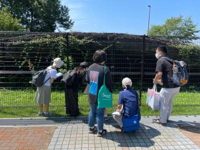 フィールドワークの様子