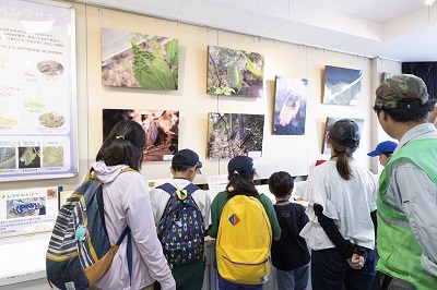 見学会の写真,谷戸沢の動植物の生態について説明が行われている様子