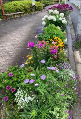 F-ガーデニングクラブの花壇の写真