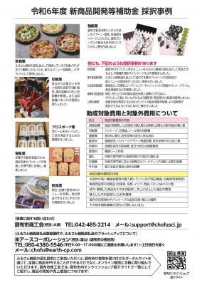 令和6年度 新商品開発等補助金 採択事例のチラシ