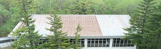 改修前体育館屋根の写真