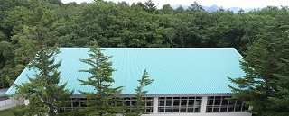 改修後体育館屋根の写真