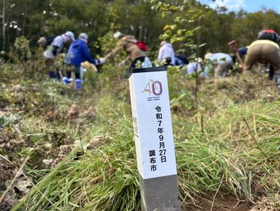百日紅の植樹の画像