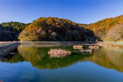 再生した里山的自然環境の写真