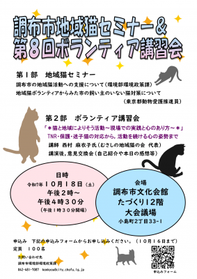 チラシ表面