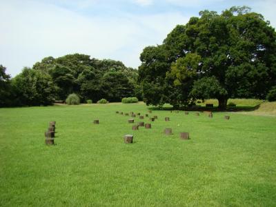 深大寺城掘立建物の画像