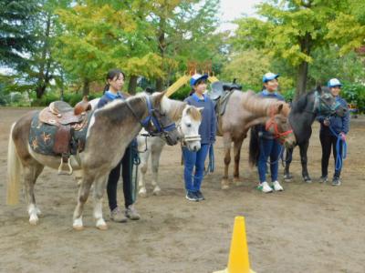 ポニー乗馬体験の写真