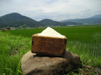 木島平村のお米の写真