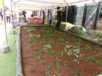野菜堀りイベント会場の写真