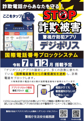 デジポリスのチラシの画像