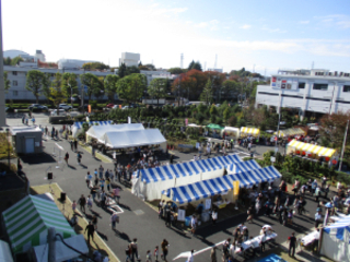 第12回ふじみまつりの会場の様子の画像