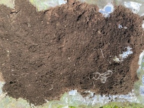 ビニールシート上で土を天日干ししている画像