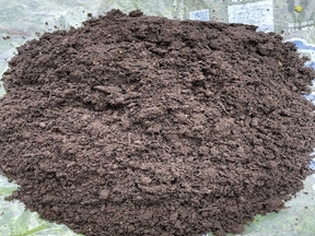 日光で熱消毒したのちビニールシート上で土を天日干ししている画像