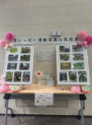 投票結果の写真