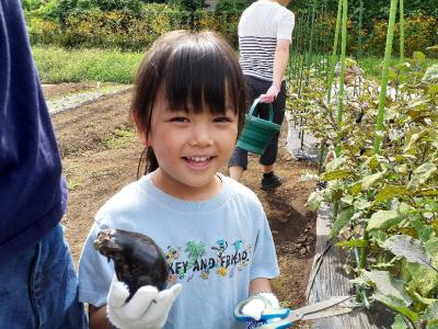 収穫している子どもの写真