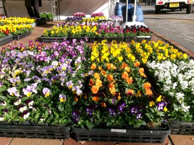 花の即売の写真