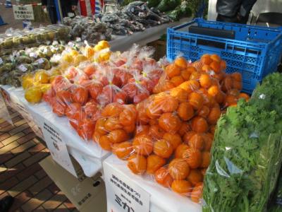 果樹即売の写真