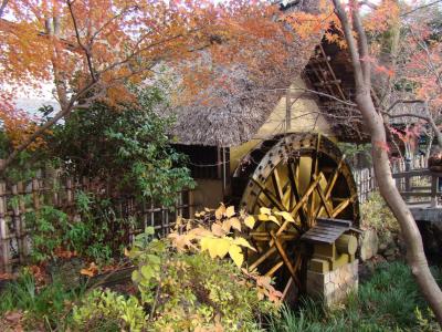 深大寺水車館(紅葉)の画像