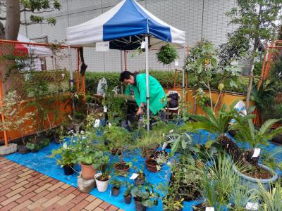 植木を売る様子