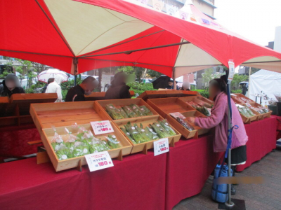 朝取り野菜の販売の様子