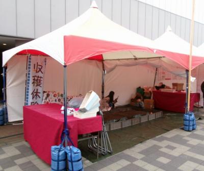 野菜収穫体験コーナーの様子