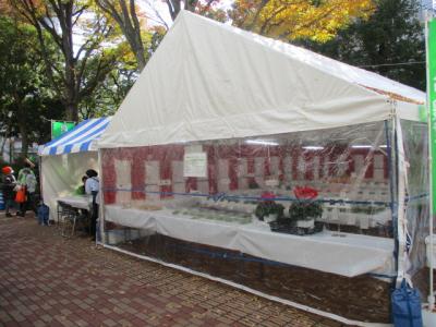 農産物の展示の様子