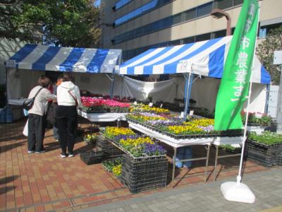 お花の販売の様子