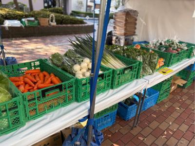 直産品の野菜の販売の様子