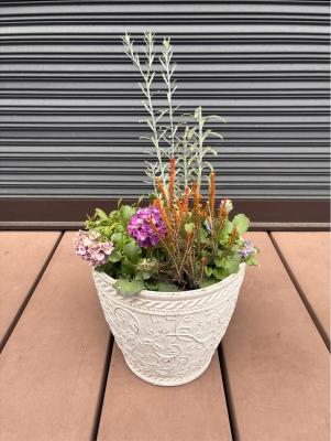 ビオラの寄せ植え見本の様子