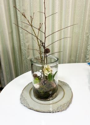 ヒヤシンス寄せ植え見本の様子