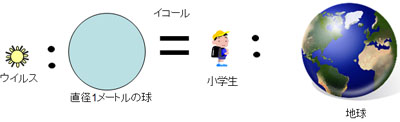 ウイルスの大きさを示す画像