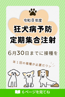 狂犬病予防接種のチラシの画像