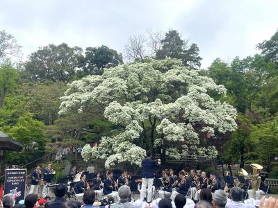 なんじゃもんじゃコンサートの写真