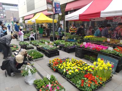 祭典の花を売っている様子