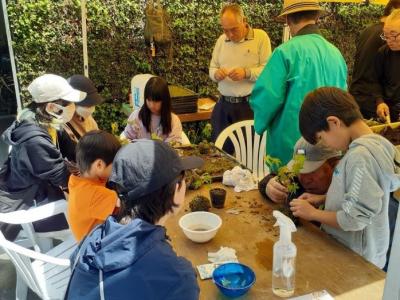 こけ玉の作成の様子