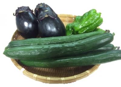 木島平村産夏野菜の画像