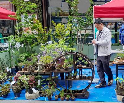 植木を販売している様子