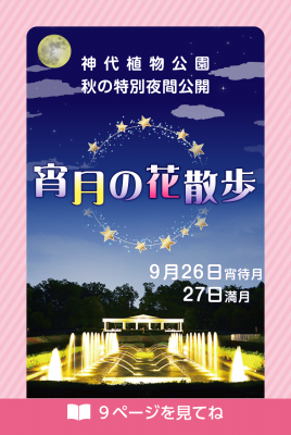 夜間特別公開をお知らせする画像