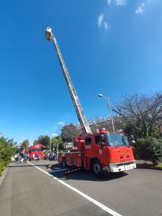 はしご車の画像