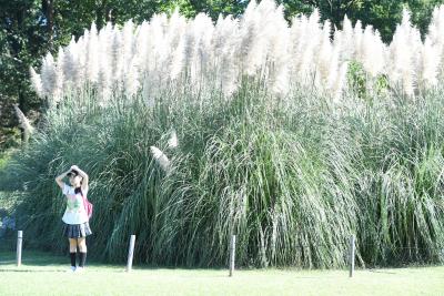 パンパスグラスの前で写真を撮る子どもの様子
