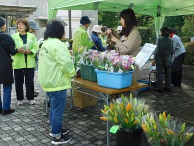 地元野菜販売の写真