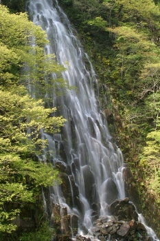 樽滝の写真