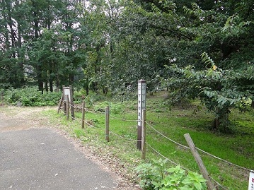 下布田遺跡の写真