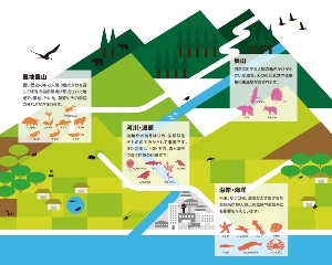 生態系の多様性の図　環境省ホームページより引用